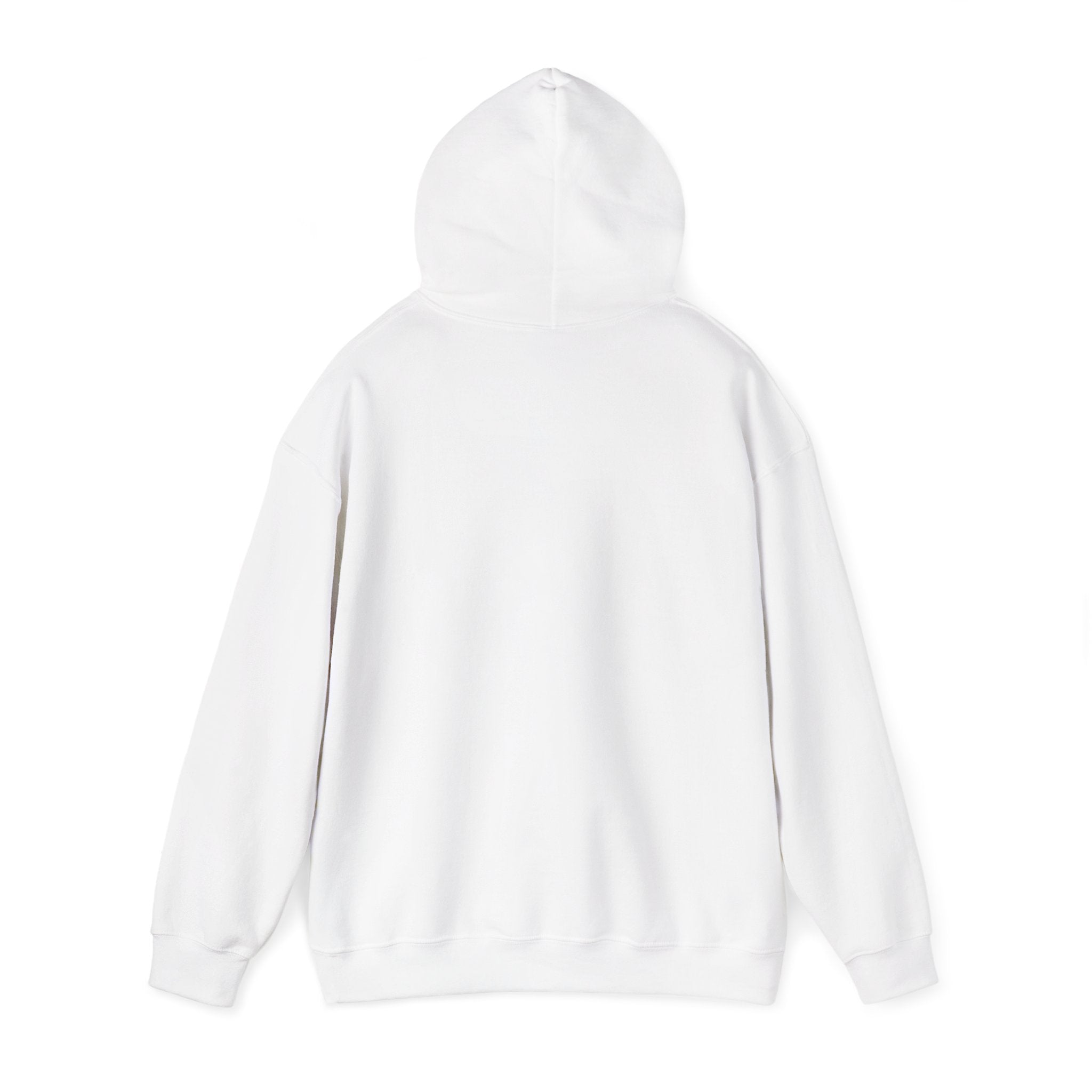 Hoodie —  "Misunderstood" Arch Graphic Pullover
