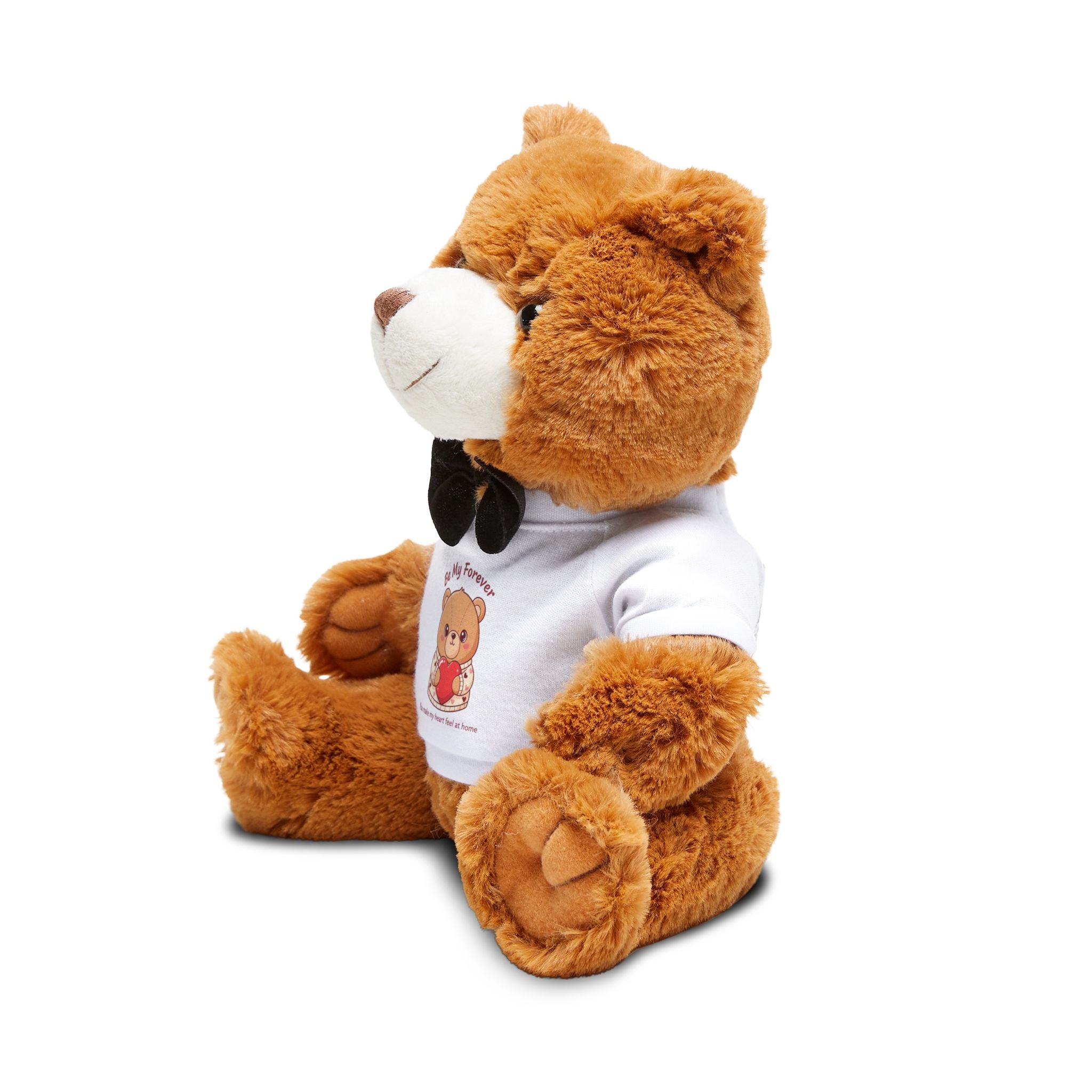 Valentine's Teddy Bear with 'Be Mine' T-Shirt